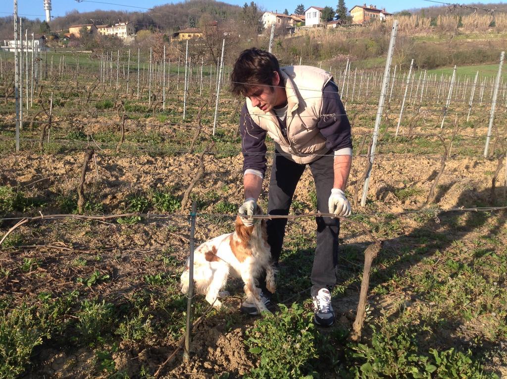 Azienda Agricola Garoglio Davide Alfiano Natta Exterior foto